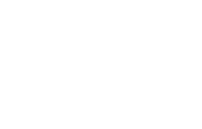 CaseFlow
